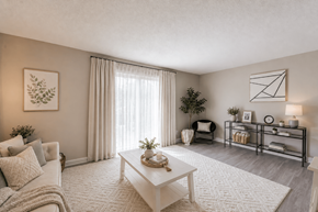 Carrboro apartment for rent - A living room with a white sofa, a coffee table, and a plant.