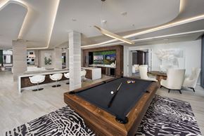 Tampa apartment for rent - A pool table is in the middle of a room with a zebra print rug.