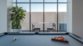 Madison apartment for rent - A pool table with a green plant in the corner.