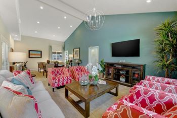 Clubhouse with tv and couch