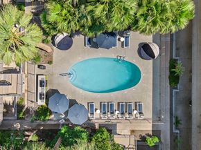 Phoenix apartment for rent - arial view of a swimming pool in a hotel with palm trees