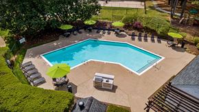 Wake Forest apartment for rent - Pool Area