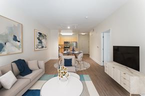 Walnut Creek apartment for rent - a living room with a couch and a table and a television
