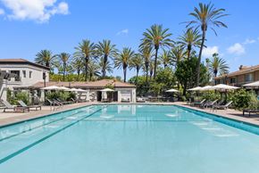 Aliso Viejo apartment for rent - A large swimming pool surrounded by palm trees and lounge chairs.