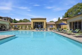San Diego apartment for rent - A large swimming pool with a blue tinted water and sun loungers around it.