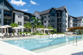Tampa apartment for rent - A swimming pool surrounded by lounge chairs and umbrellas in front of a row of apartment buildings.