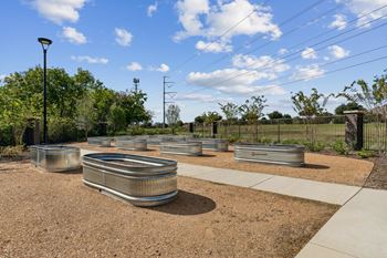 Park area
