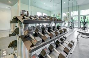 Baton Rouge apartment for rent - Fitness Center with Modern Equipment at Blu on the Boulevard, Baton Rouge, Louisiana