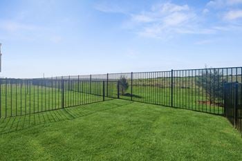 Fenced yards*