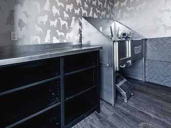Dog wash parlor
