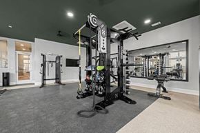 Mooresville apartment for rent - the gym in the home is equipped with weights and cardio equipment