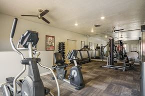 Rio Rancho apartment for rent - A spacious gym with a variety of equipment including treadmills, stationary bikes, and weight machines.