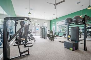 West Melbourne apartment for rent - a gym with weights and other equipment in a building with green walls