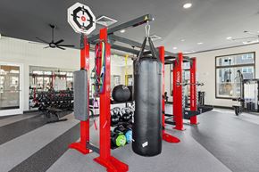 Fredericksburg apartment for rent - the gym at the monarch luxury apartments