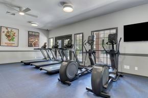 San Antonio apartment for rent - A gym with treadmills, elliptical machines, and a flat screen TV.