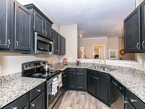 Johns Creek apartment for rent - Kitchen
