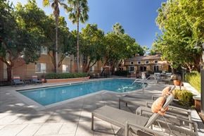 Sunnyvale apartment for rent - A pool surrounded by palm trees and lounge chairs.