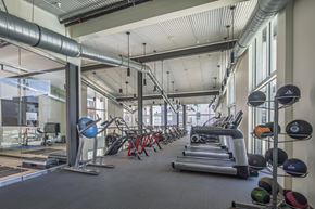 Los Angeles apartment for rent - A gym with a variety of equipment including treadmills, weights, and exercise balls.
