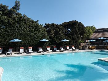 Swimming pool with chairs and umbrellas at a resort