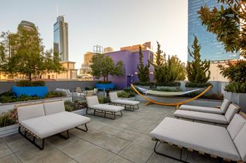 Two roof top gardens