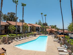 Vista apartment for rent - Pool at Bella Terra, Vista, Vista California, 92081