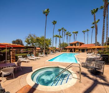 Swimming pool with chairs and tables and palm trees