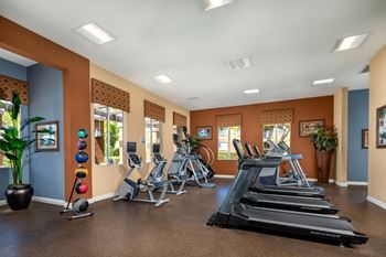 Updated fitness center with cardio + strength