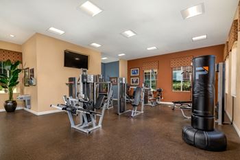 Updated fitness center with cardio + strength