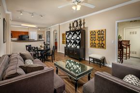 Lake Elsinore apartment for rent - Living Room  at Ridgestone, California