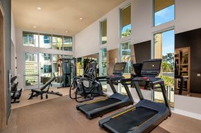 Encinitas apartment for rent - the gym has plenty of cardio equipment and glass windows