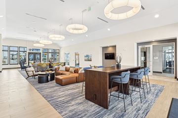 Fredericksburg apartment for rent - A modern living room with a wooden dining table and blue chairs.