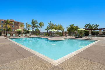 San Diego apartment for rent - A large swimming pool surrounded by palm trees and lounge chairs.