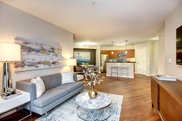 Renton apartment for rent - A living room with a grey couch and a coffee table.