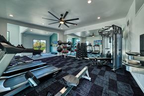 Scottsdale apartment for rent - a home gym with weights and cardio equipment