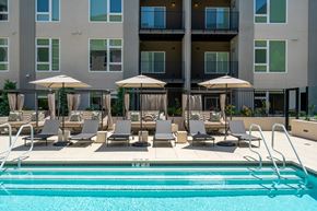 Belmont apartment for rent - pool with lounge chairs
