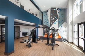 Colorado Springs apartment for rent - Gym with exercise equipment