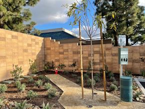 Chula Vista apartment for rent - Azul Chula Vista Dog Run