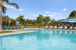 Kapolei apartment for rent - large pool. Lounge furniture surrounding.  palm trees.