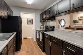 Memphis apartment for rent - A kitchen with black cabinets and a black refrigerator.