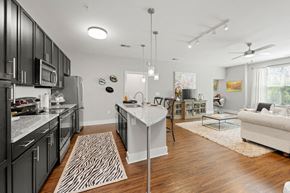 Charlotte apartment for rent - A modern kitchen with dark wood cabinets and a zebra print rug on the floor.