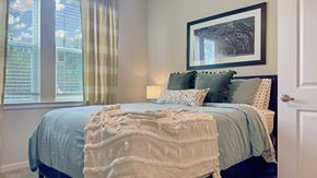 Savannah apartment for rent - a bedroom with a bed and a window