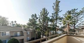 Concord apartment for rent - A residential area with houses and trees.
