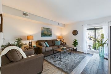 Virginia Beach apartment for rent - A living room with a brown couch, a grey rug, and a painting on the wall.