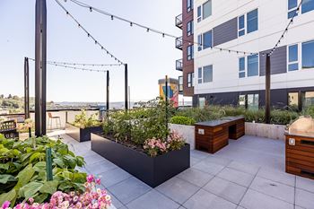 Outdoor courtyards and bbq grills