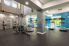 Louisville apartment for rent - a gym with weights and cardio equipment in a building with blue walls