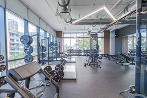 Miami apartment for rent - A gym with a variety of equipment including weights and machines.