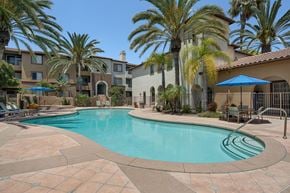 San Diego apartment for rent - A swimming pool surrounded by palm trees and a building in the background.