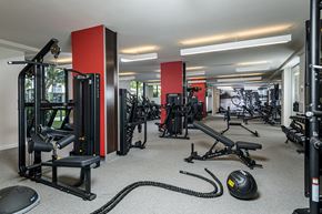 Tampa apartment for rent - A gym with a variety of equipment including a weight bench, a rowing machine, and a treadmill.