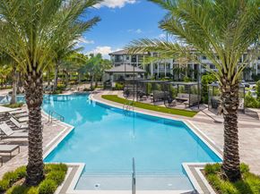Miami apartment for rent - A swimming pool surrounded by palm trees and lounge chairs.