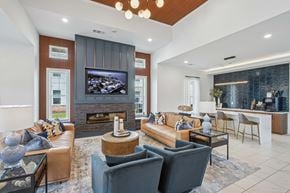 Mcdonough apartment for rent - A modern living room with a fireplace and a television.